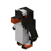 Gentoo Penguin