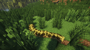 Animals Zoo