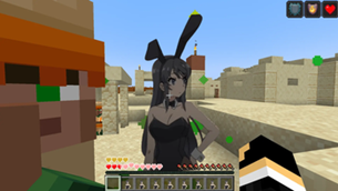 Picture in game