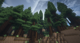 image_8.png