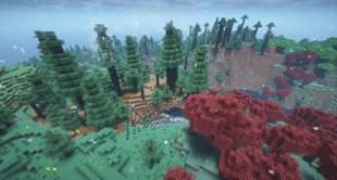 image_13.png