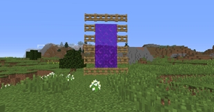 Foto5