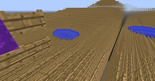 Foto6