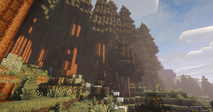 High forest
