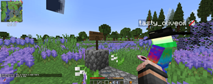random donkey grave