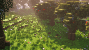 Apple Forest