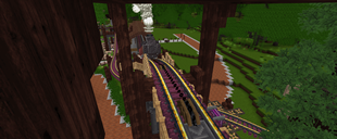 Roller coaster chain