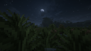 image_11-min.png