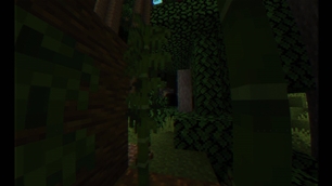 jungle.jpg