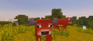 Screenshot 35