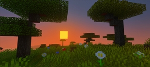 Screenshot 56