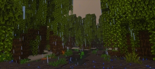 Screenshot 54