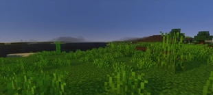 Screenshot 24