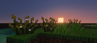 Screenshot 26