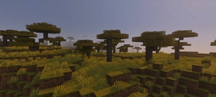 Screenshot 31