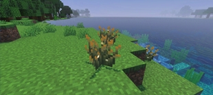 Screenshot 37