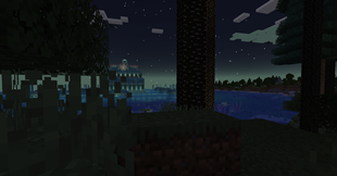 Forest's Edge