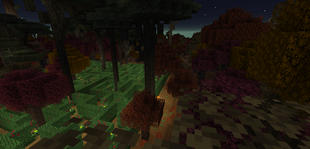Hedge Maze