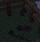 Spider Size