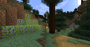 Blueberry Bush