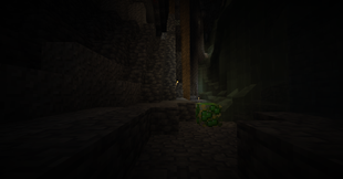 Concentrated Essence Bush