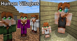 Human Villagers