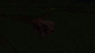 Angry Pig