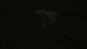 Angry Golden Pig