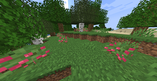 1.1.0 generation screenshot