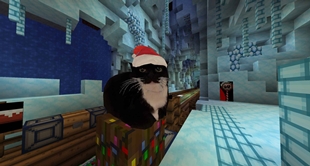 Maxwell with santa hat