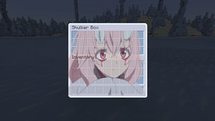 Shulker Box