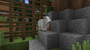 Mountain Goat