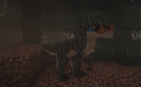 rapter.png