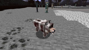 Zombie Wolf
