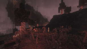 Custom Nether biome by Amplified Nether data pack.