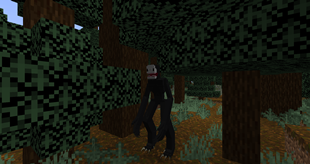 A wild elder