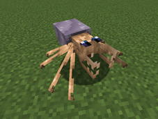 araigner_caverne.png