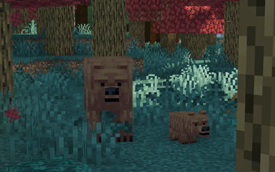 Some wildlife