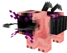 ace4.png