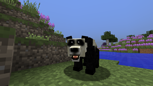Panda Panda Panda Panda Panda