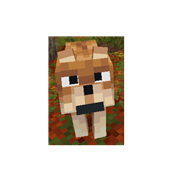 pack.png