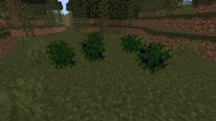 Blueberries.png