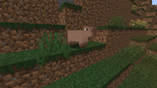 Capybara.png