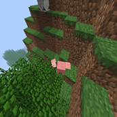 animals.png