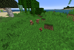 Dholes spawn in Sparse Jungles.png