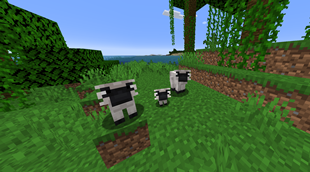 Northern Plains Gray Langurs spawn in Sparse Jungles.png