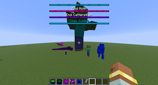 Showcase 3
