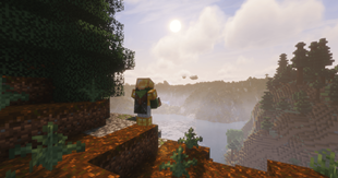 Overlook