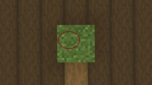 2025-12-28_18.47.19.png