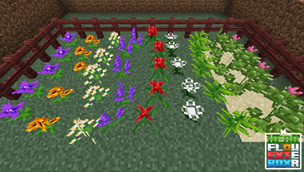 Flowers on the ground